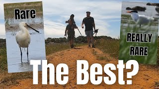 Is this the best Nature Reserve in the UK?