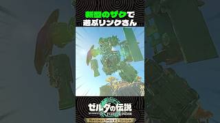 新型のザクで遊ぶリンクさん【ゼルダの伝説 ティアキン】