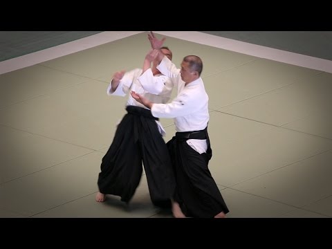 Aikido - Horii Etsuji Shihan - 53rd All Japan Aikido Demonstration (2015)