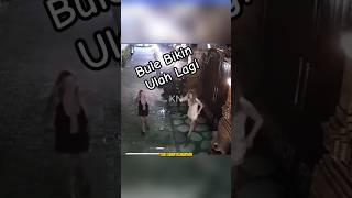 Download lagu Bule Kenc*ng Di Depan Rumah Warga. mp3 Download lagu Bule Kenc*ng Di Depan Rumah Warga. mp3