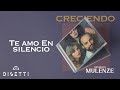 Orquesta La Mulenze - Te Amo En Silencio | Salsa Romantica