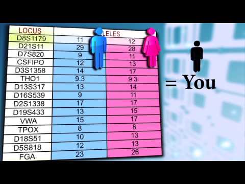 The DNA Fingerprint Test:  The Great Equalizer