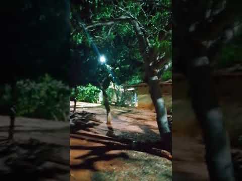 RELATO DE UMA PORTARIA QUE ACREDITOU NA CAMINHADA GIGANTE E NA PESQUISA.