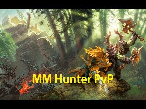 5.4 MM Hunter PvP - Rated Battleground - Patch 5.4