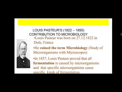 contribution of Pasteur, Koch and Leuwanhoek