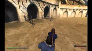 Mount & Blade Duel