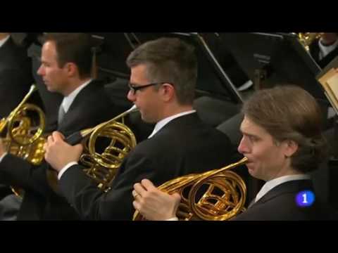 'El Danubio Azul' de Johan Strauss   Orquesta Filarmónica de Viena 2014