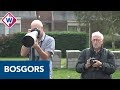 De zeldzame vogel 'bosgors' is neergestreken in Noordwijkerhout - OMROEP WEST