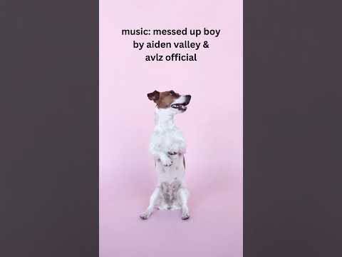 Waiting Patiently For Prince Harry And Meghan On Netflix