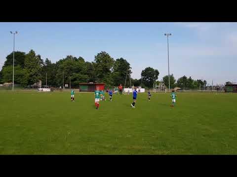 Zaborowianka - Mustangi