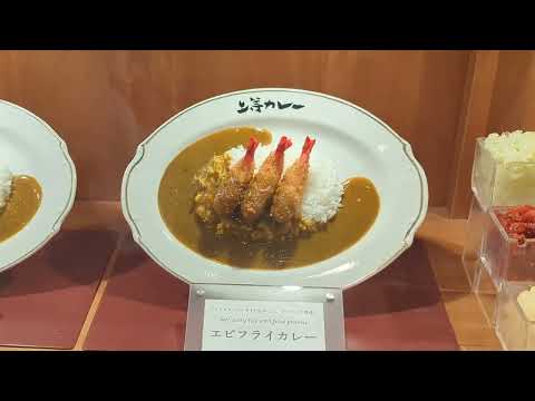 Ordering Food using a Ticket Vending Machine - Japan