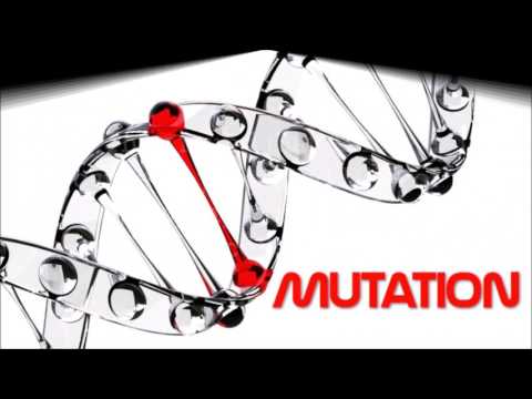Acute Promyelocytic Leukemia