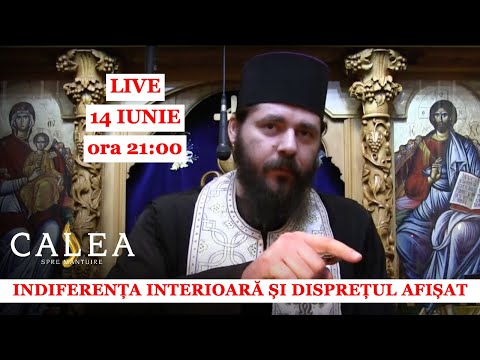 🔴 LIVE #101 - INDIFERENȚA INTERIOARĂ ȘI DISPREȚUL AFIȘAT - CU PĂRINTELE ELEFTERIE
