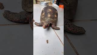 procurando novos caminhos