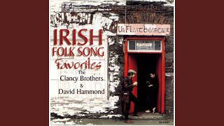 Rockin’ The Cradle