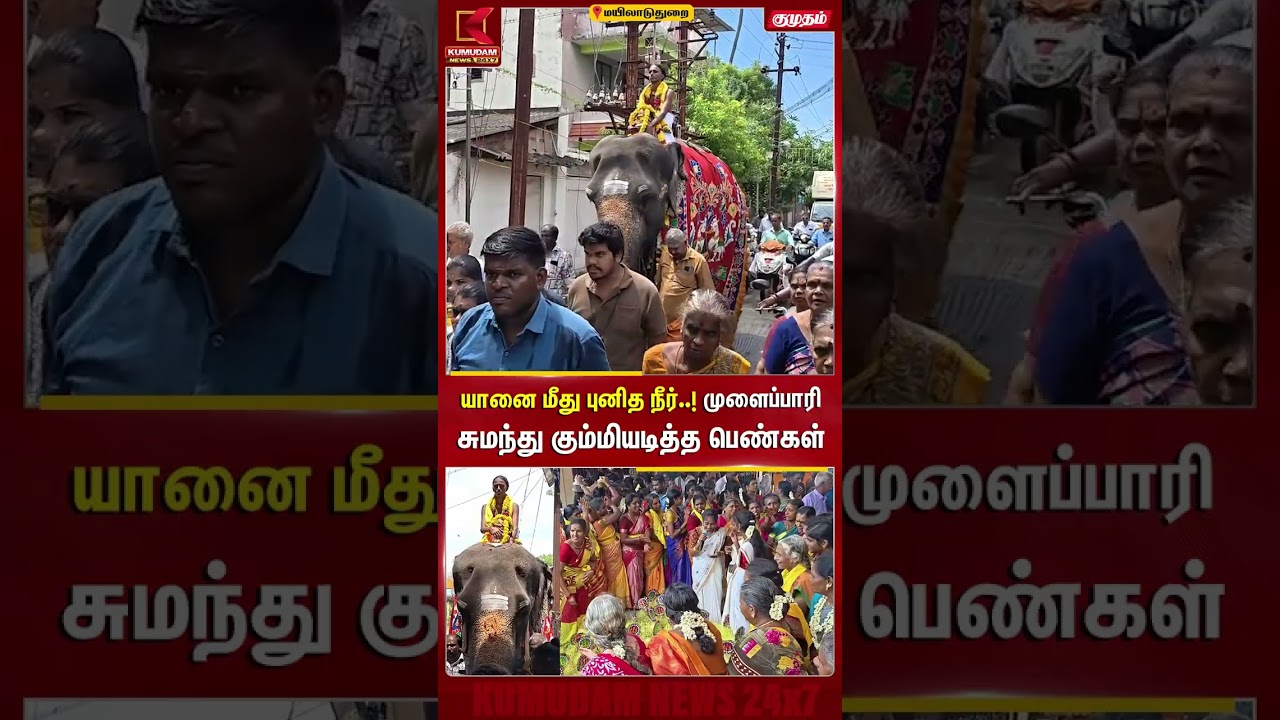 யானை மீது புனித நீர்! முளைப்பாரி சுமந்து கும்மியடித்த பெண்கள் | Mayiladuthurai | Kumudam News