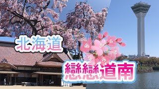 【遍地灑滿桜花瓣】好吸睛~旅遊雜誌的美景就在這裡!!