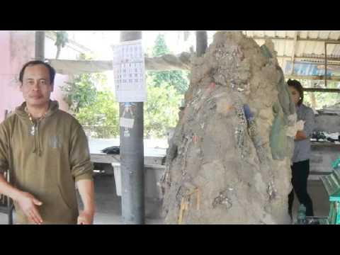 กว่าที่คุณสามารถแทนที่เชื้อโรคม้า จากสิ่งที่สามารถเป็นสมาชิกของที่ต่ำกว่า