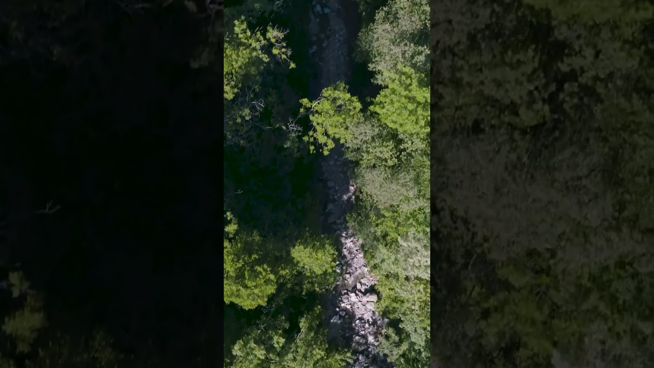 YouTube Short thumbnail