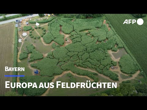 Ammersee: Mais-Labyrinth feiert Europa | AFP
