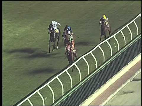 Galoppo 29/07/2015 - 7° corsa