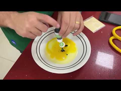 VERDE E AMARELO  POR  um dia com os cachorros!-maloucos