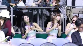 レバンガ北海道のビデオ判定CMソングに合わせて踊るMusegirls　#攻城獅 #慕獅女孩 #台湾チア