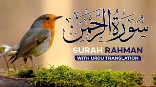 Surah Rahman With Urdu Translation Full  Episode 1