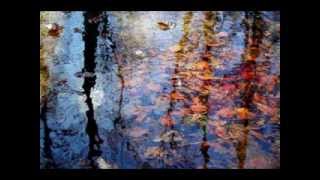 Shriekback - Regret No Dogs