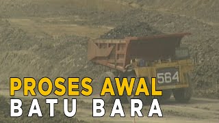 Download lagu Inilah proses awal batu bara | JELAJAH mp3