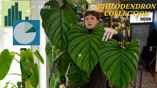 my philodendron collection now & through the years 🌿