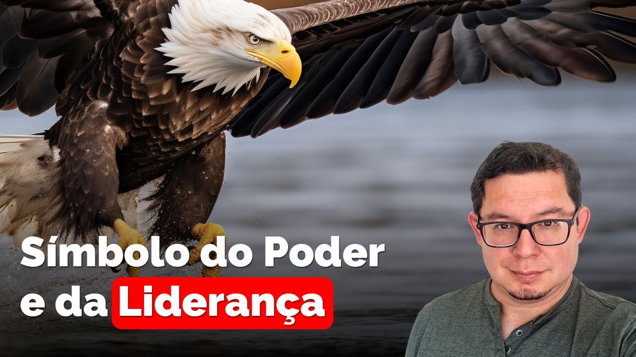 Arquétipo da Águia para Empreendedores