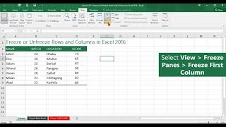 Lesson 10 - Freeze or Unfreeze Rows and Columns in Excel 2016