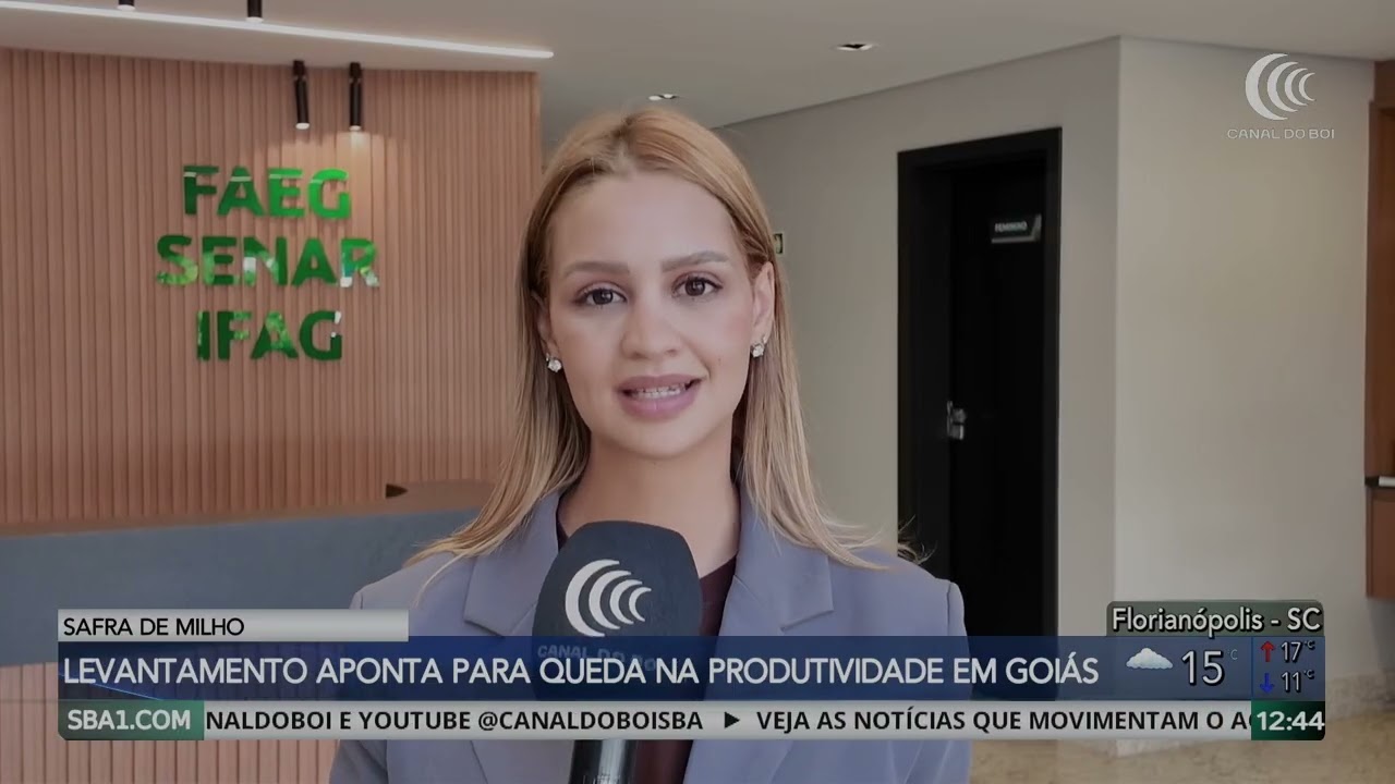 Levantamento aponta queda na produtividade de milho em Goiás