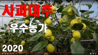 대추재배 우수 농가를 가다/사과대추ㆍ복조대추2020.09.22