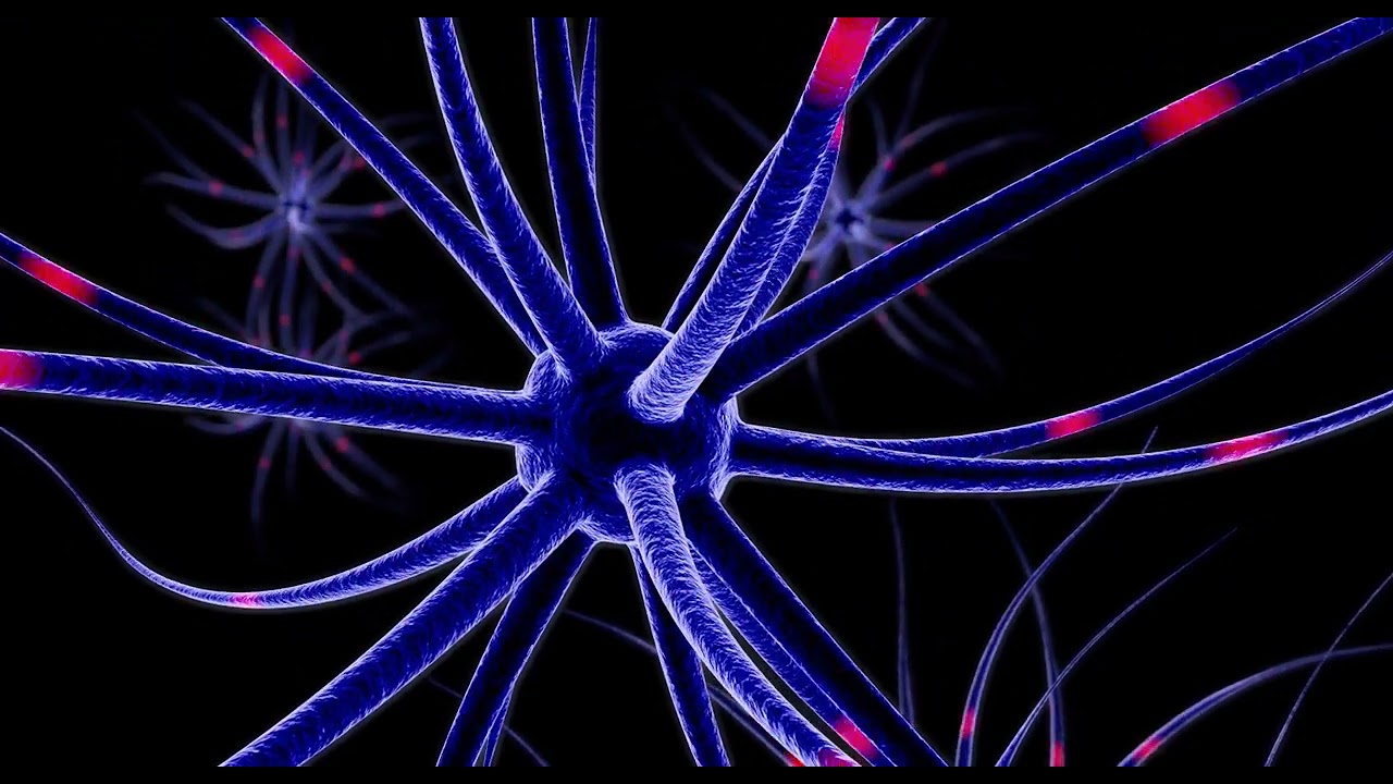 Neuron brain mind footage video