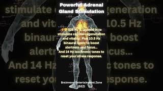 Download lagu Adrenal Energy Boost | 528 Hz   492 Hz   111 Hz Binaural  Beats for Natural Power & Stress Relief 🎧 mp3 Download lagu Adrenal Energy Boost | 528 Hz   492 Hz   111 Hz Binaural  Beats for Natural Power & Stress Relief 🎧 mp3