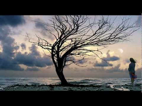 Ansoo kabhi chalke nahi-Late Jagjit Singh