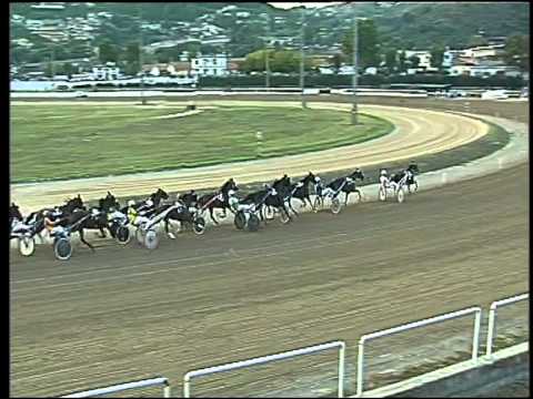 Trotto 13/09/2015 - 6° corsa