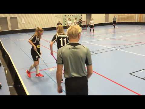 Älvstranden F05/06 - Kärra F05/06, period 3 (Innebandy / Floorball)