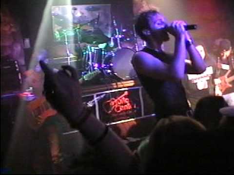 Darwin's Waiting Room - Realize