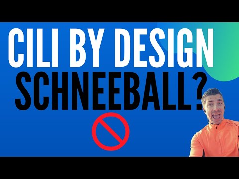 Ist Cili by Design ein Schneeball? Meine Kritik! Gefährlich? Partner werden? Registrieren?