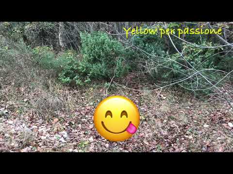 È un trucco o un barbatrucco 🙆🏼‍♂️