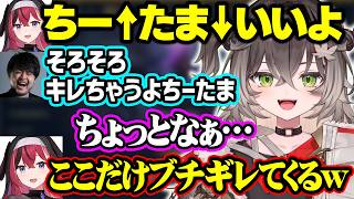 ちーたまのイントネーションが直せない昏昏アリア、二郎系50分ゲームに勝利する龍巻ちせ達【ぶいすぽ/龍巻ちせ/狐白うる/k4sen/AlphaAzur/昏昏アリア/しゃるる/LTK】