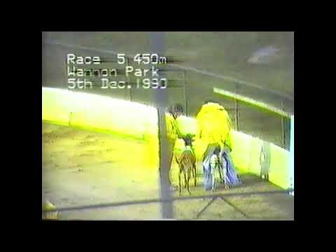 Star Chariot Star Affair Open Affair 1991 Australian Cup 1987 Traralgon Cup 1992 Geelong Cup