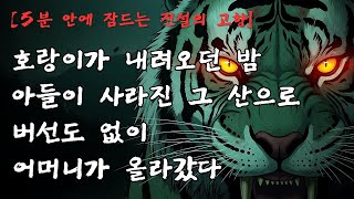 Download lagu [5분 안에 잠드는 전설의 고향] 호랑이가 내려오던 밤, 버선도 없이 산에 오른 여인｜호산의 어머니 전설｜경기도 수원 괴담 mp3
