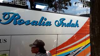 preview picture of video 'Rosalia Indah SHD 118 memasuki agen Jombang, Jawa Timur menuju ibukota'