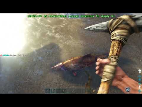 YouTube video about: Where to get raw prime fish meat ark?