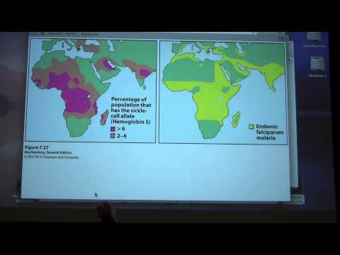 Ahern's Biochemistry #9 - Hemoglobin II & Enzymes I