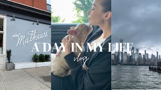 Adopting a French Bulldog Puppy, My Best Friend Moves Home | JERSEY CITY VLOG